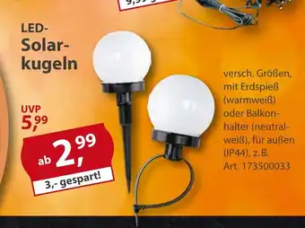 Sonderpreis Baumarkt LED- Solarkugeln Angebot