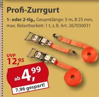 Sonderpreis Baumarkt Profi-Zurrgurt Angebot