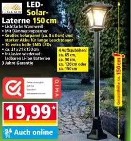 Norma I GLOW LED-Solar Laterne 150 cm Angebot