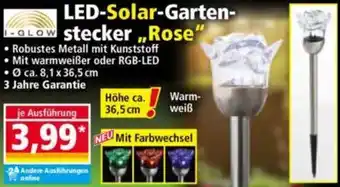 Norma I GLOW LED-Solar-Garten- GLOW stecker,,Rose" Angebot