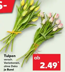 Kaufland Tulpen Angebot