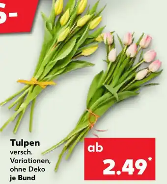 Kaufland Tulpen Angebot