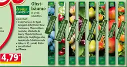 Norma FINESTGARDEN Obst-baume Angebot