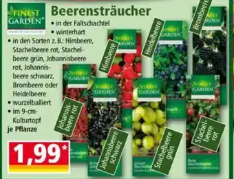 Norma FINEST GARDEN Beerensträucher Angebot