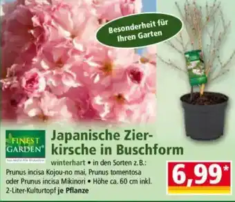 Norma FINEST GARDEN Japanische Zier- GARDEN kirsche in Buschform Angebot