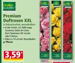 Norma FINEST GARDEN Premium Duftrosen XXL Angebot