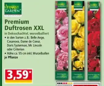 Norma FINEST GARDEN Premium Duftrosen XXL Angebot