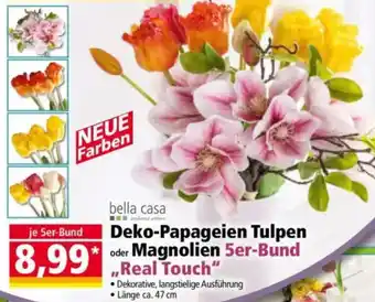 Norma bella casa Deko-Papageien Tulpen oder Magnolien 5er-Bund ,,Real Touch" Angebot