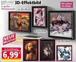 Norma bella casa 3D-Effektbild Angebot