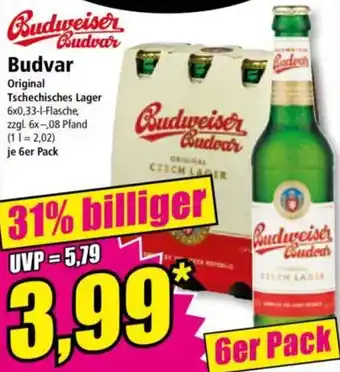 Norma Budweiser Budvar Angebot