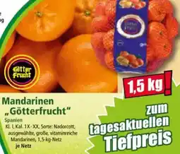 Norma Mandarinen ,,Götterfrucht" Angebot