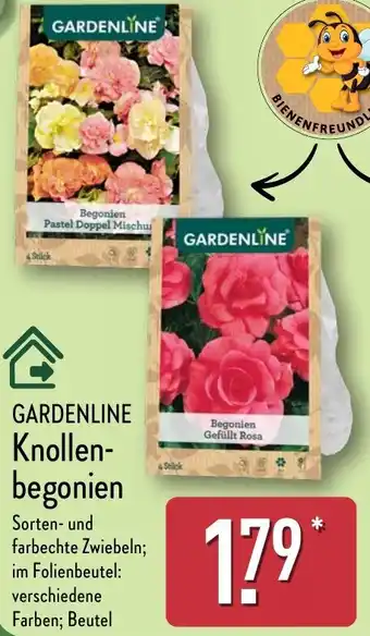 Aldi Nord GARDENLINE Knollenbegonien Angebot