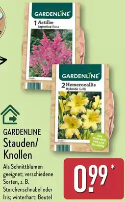 Aldi Nord GARDENLINE Stauden/ Knollen Angebot