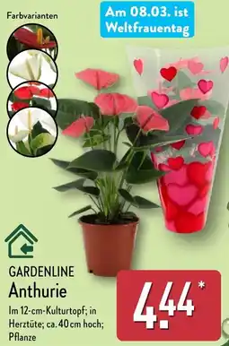 Aldi Nord GARDENLINE Anthurie Angebot