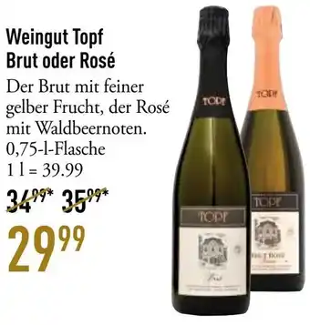 Galeria Markthalle Weingut Topf Brut oder Rosé Angebot