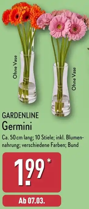 Aldi Nord GARDENLINE Germini Angebot