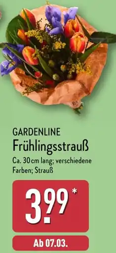 Aldi Nord GARDENLINE Frühlingsstrauß Angebot