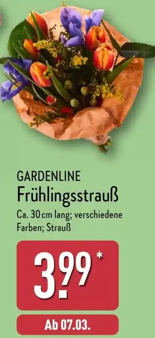 Aldi Nord GARDENLINE Frühlingsstrauß Angebot