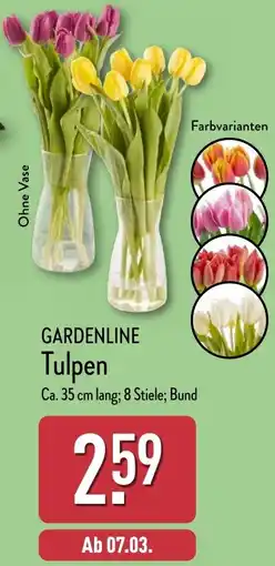 Aldi Nord GARDENLINE Tulpen Angebot