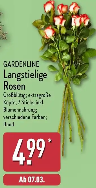 Aldi Nord GARDENLINE Langstielige Rosen Angebot