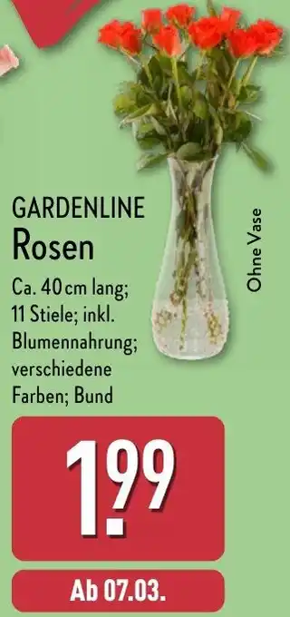 Aldi Nord GARDENLINE Rosen Angebot