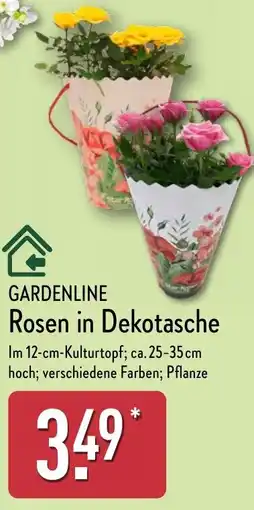 Aldi Nord GARDENLINE Rosen in Dekotasche Angebot