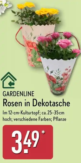 Aldi Nord GARDENLINE Rosen in Dekotasche Angebot