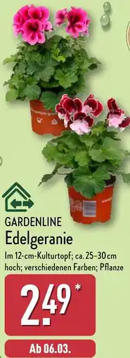 Aldi Nord GARDENLINE Edelgeranie Angebot