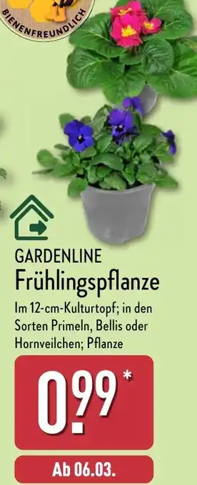 Aldi Nord GARDENLINE Frühlingspflanze Angebot