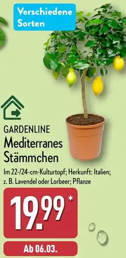 Aldi Nord GARDENLINE Mediterranes Stämmchen Angebot