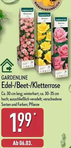 Aldi Nord GARDENLINE Edel-/Beet-/Kletterrose Angebot