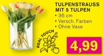 KODi Tulpenstrauss mit 5 tulpen Angebot