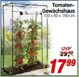 CENTERSHOP Tomaten Gewächshaus Angebot