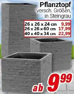 CENTERSHOP Pflanztopf Angebot