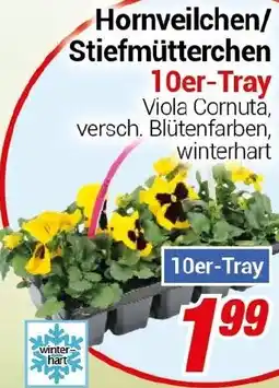 CENTERSHOP Hornveilchen/ Stiefmütterchen Angebot