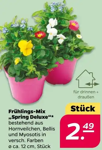 NETTO Frühlings-Mix ,,Spring Deluxe" Angebot