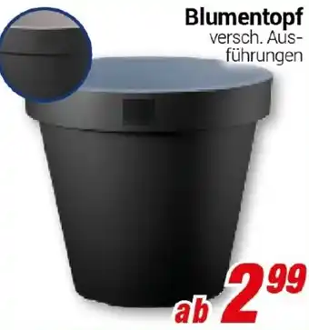 CENTERSHOP Blumentopf Angebot