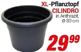 CENTERSHOP XL-Pflanztopf CILINDRO Angebot