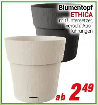 CENTERSHOP Blumentopf ETHICA Angebot
