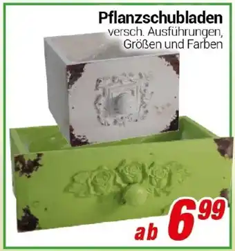 CENTERSHOP Pflanzschubladen Angebot