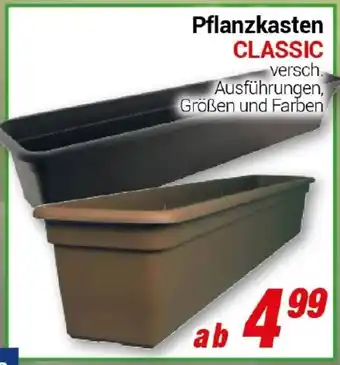 CENTERSHOP Pflanzkasten CLASSIC Angebot