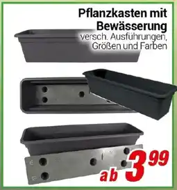 CENTERSHOP Pflanzkasten mit Bewässerung Angebot