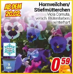 CENTERSHOP Hornveilchen/ Stiefmütterchen Angebot