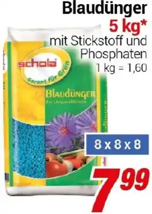 CENTERSHOP Schola Blaudünger Angebot