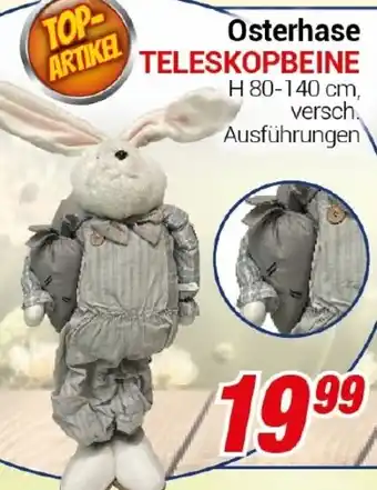 CENTERSHOP Osterhase TELESKOPBEINE Angebot