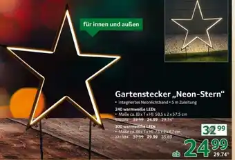 Selgros Gartenstecker Neon Stern Angebot