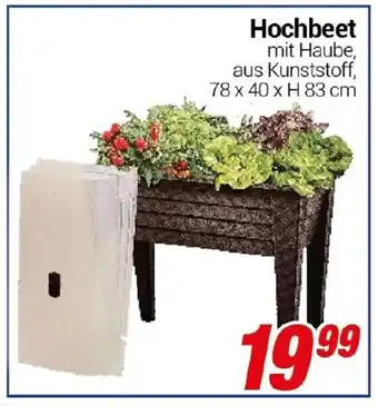 CENTERSHOP Hochbeet Angebot