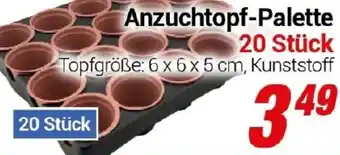 CENTERSHOP Anzuchtopf-Palette Angebot