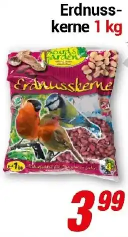 CENTERSHOP Bird's Garden Erdnusskerne Angebot