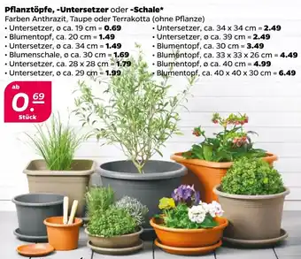 NETTO Pflanztöpfe, Untersetzer oder Schale Angebot